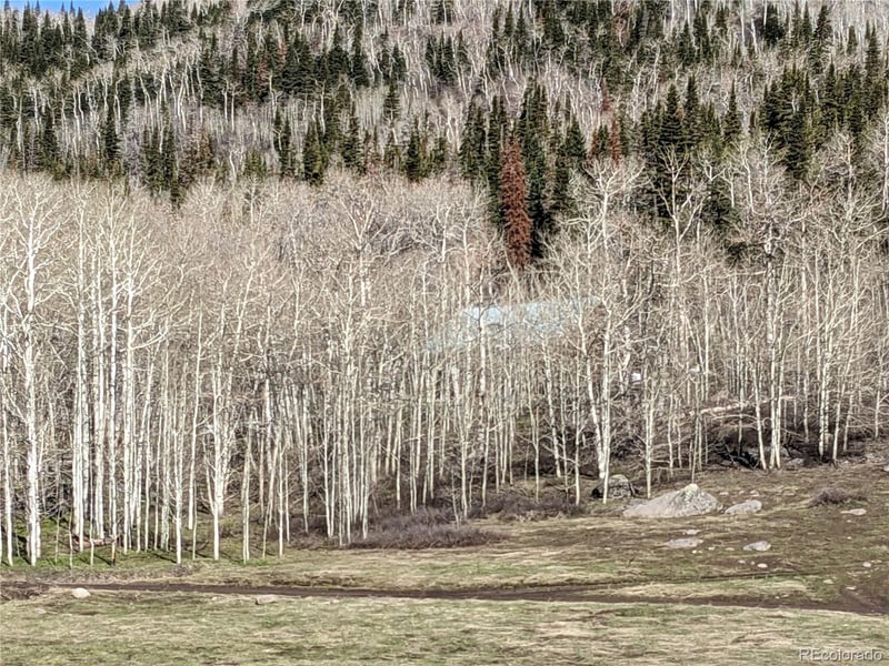 8700 Bakers Peak Rd, Craig, CO 81625