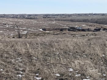 44324 Wrangle Ct, Parker, CO 80138