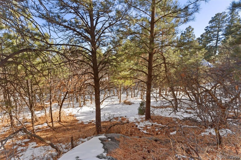 5960 Buttermere Dr, Colorado Springs, CO 80906