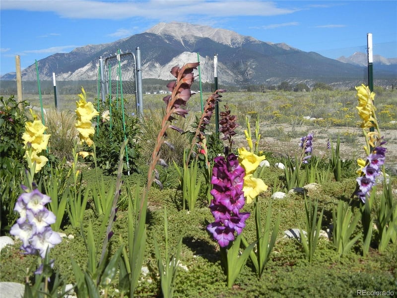 20155 Hideout Ln, Nathrop, CO 81236