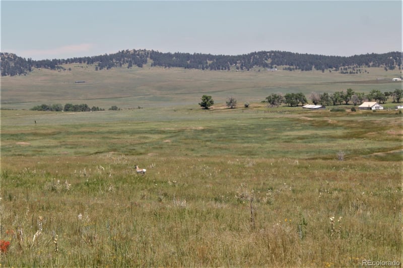 Tract 16 Sweet Rd, Calhan, CO 80808