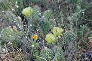 Tract 21 Mcclelland Rd, Calhan, CO 80808