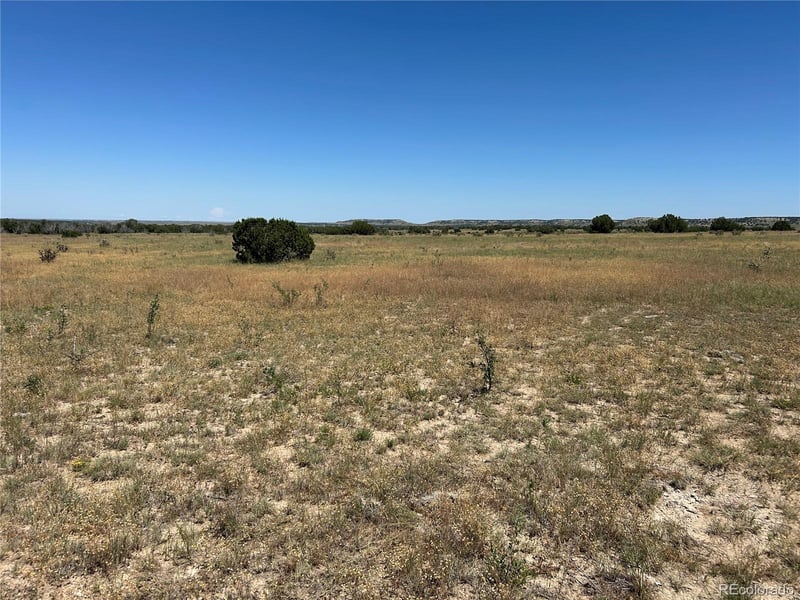 Lot 17 Longhorn Ranch Lot 17, Model, CO 81059