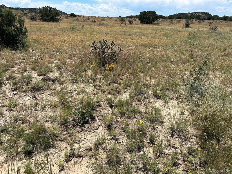 Lot 17 Longhorn Ranch Lot 17, Model, CO 81059