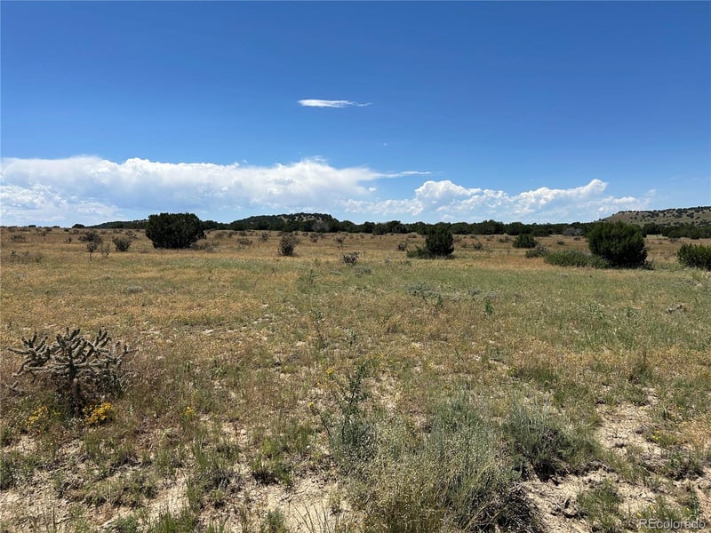 Lot 17 Longhorn Ranch Lot 17, Model, CO 81059