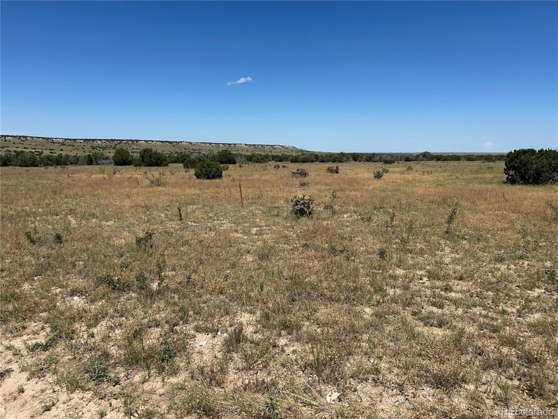 Lot 17 Longhorn Ranch Lot 17, Model, CO 81059