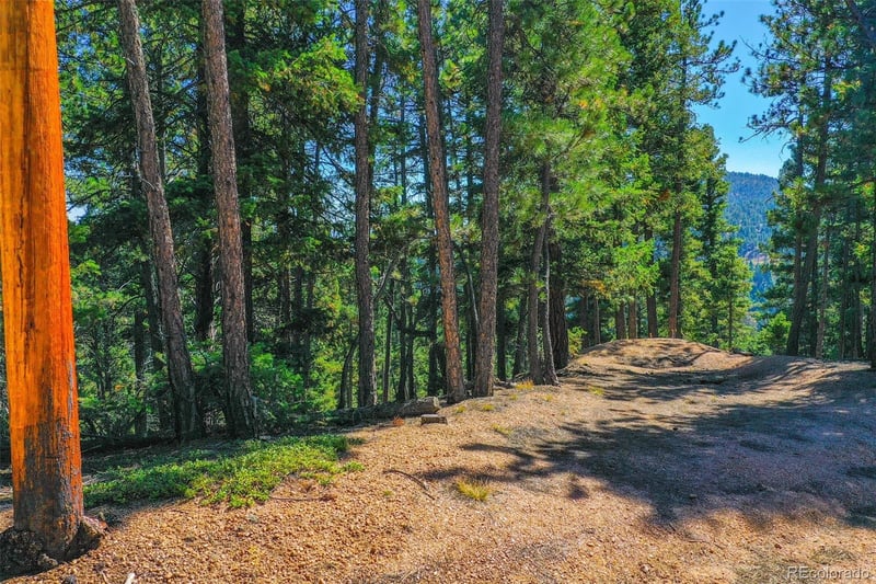 14059 Blue Jay Ln, Larkspur, CO 80118