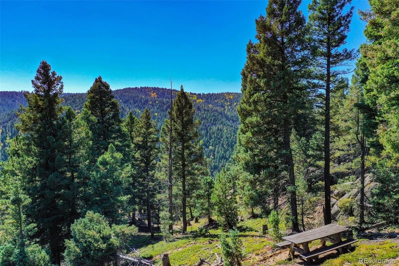 14059 Blue Jay Ln, Larkspur, CO 80118
