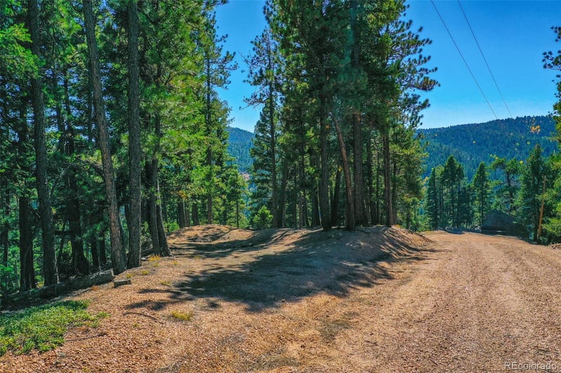 14059 Blue Jay Ln, Larkspur, CO 80118