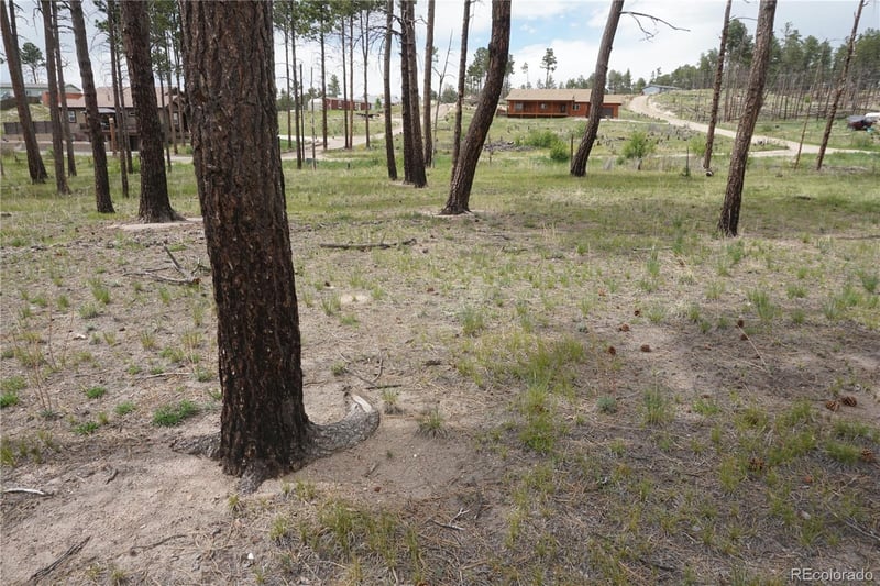 Circle Dr, Colorado Springs, CO 80908