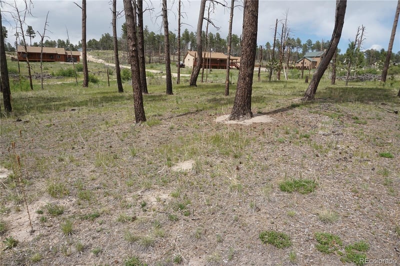 Circle Dr, Colorado Springs, CO 80908