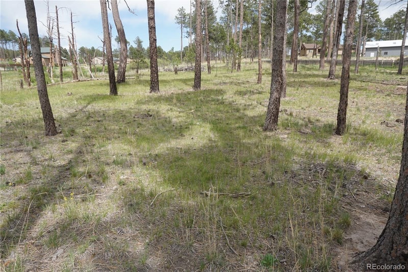 Circle Dr, Colorado Springs, CO 80908