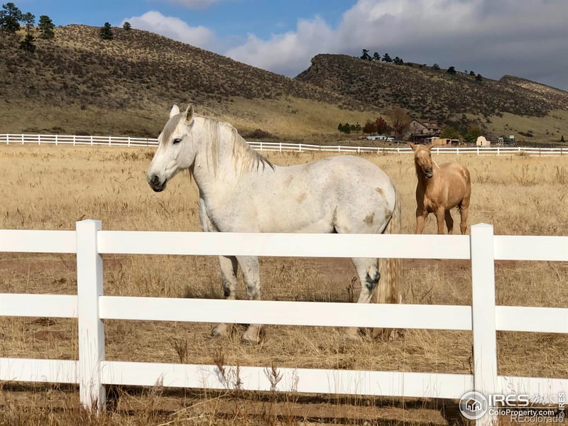 5575 Spring Glade Rd, Loveland, CO 80538