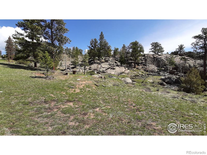 102 Mount Princeton Ct, Livermore, CO 80536