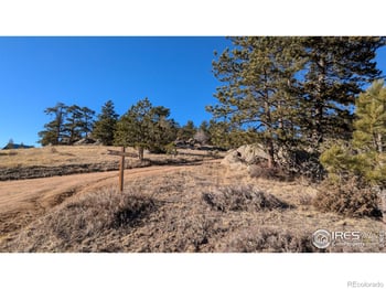 102 Mount Princeton Ct, Livermore, CO 80536