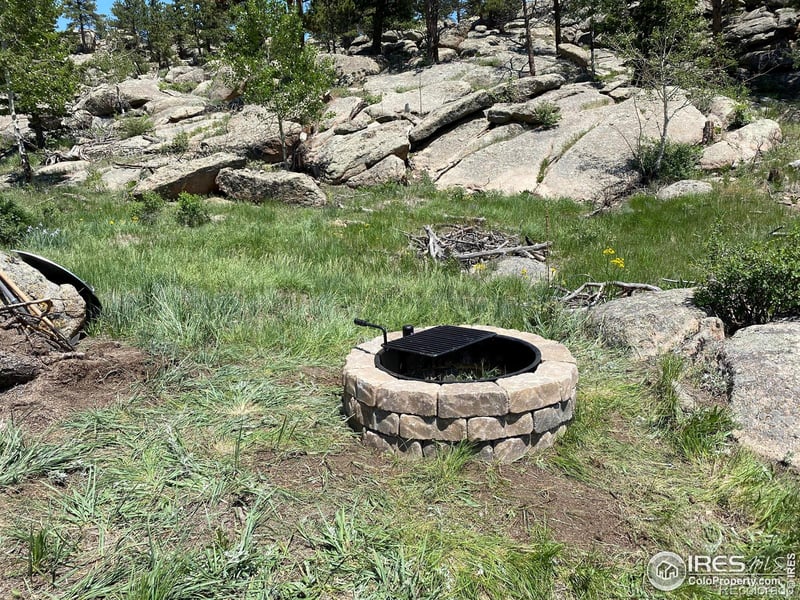 102 Mount Princeton Ct, Livermore, CO 80536