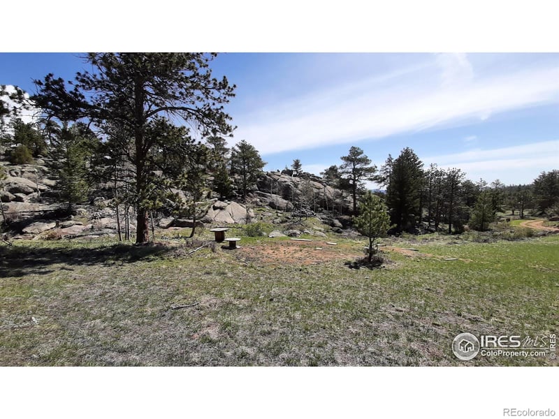 102 Mount Princeton Ct, Livermore, CO 80536