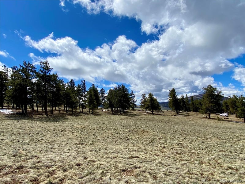 0 Oahu Rd, Buena Vista, CO 81211