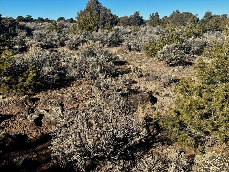 Lot 17 Largo Vi, San Luis, CO 81152