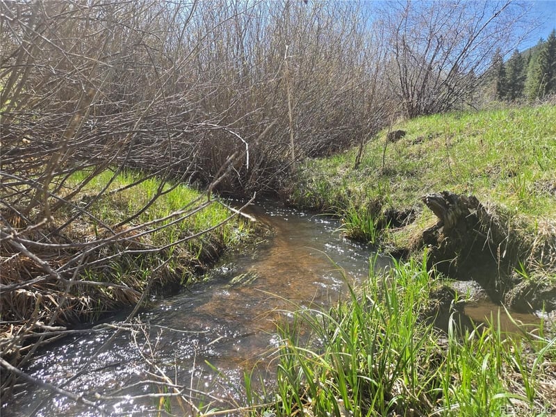 Foxton Rd, Conifer, CO 80433