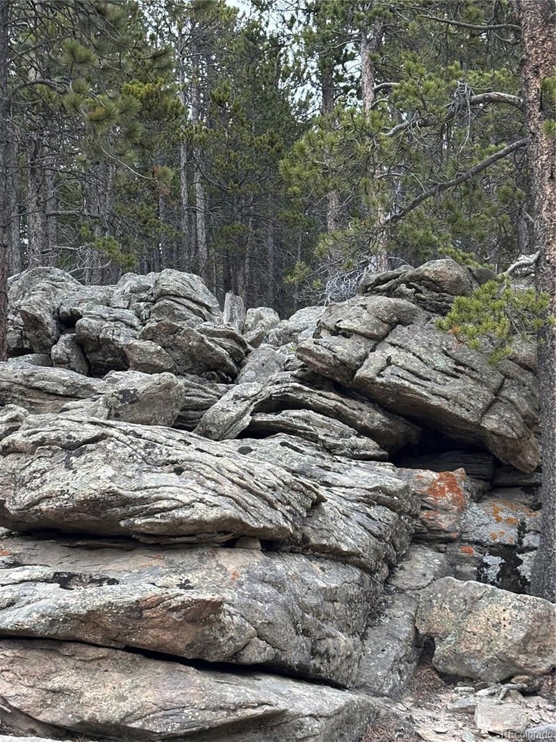 62 Badger Rd Lot 49, Black Hawk, CO 80422