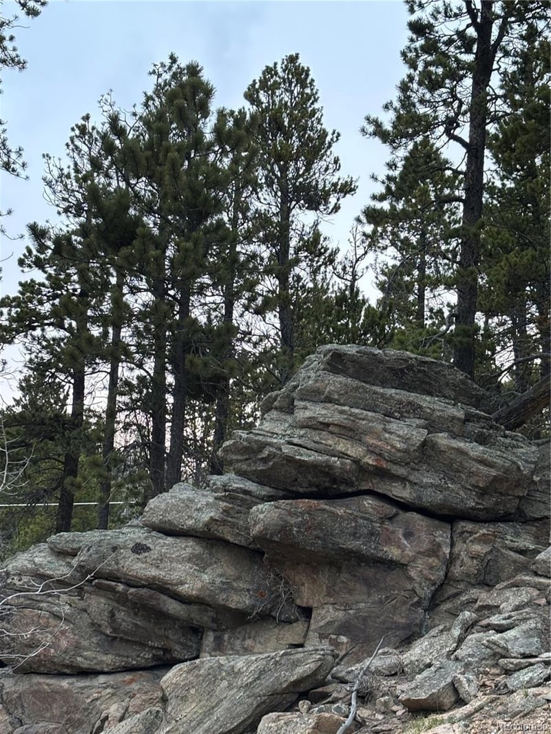 62 Badger Rd Lot 49, Black Hawk, CO 80422