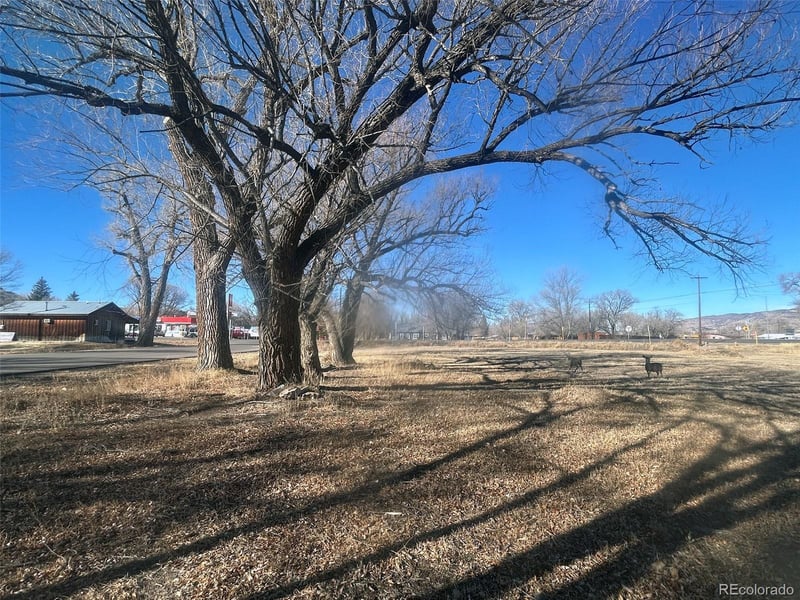 none Highway 285 , Saguache, CO 81149