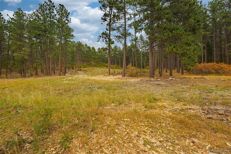 14420 Perry Park Rd, Larkspur, CO 80118