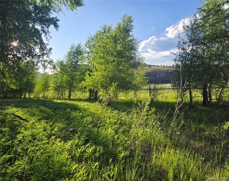 118 Caddis Cir, South Fork, CO 81154