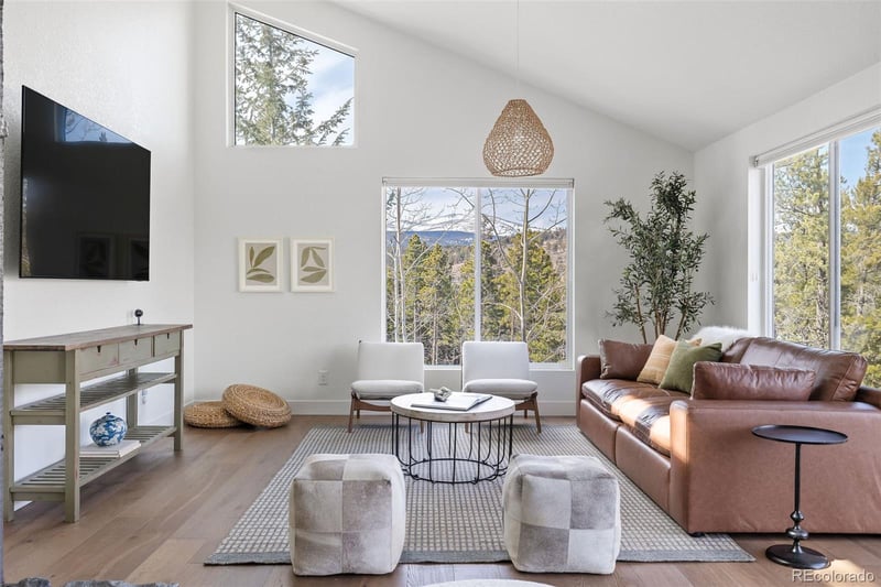 173 Alpine Dr, Nederland, CO 80466