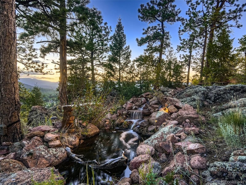 14441 Peaceful Way, Pine, CO 80470