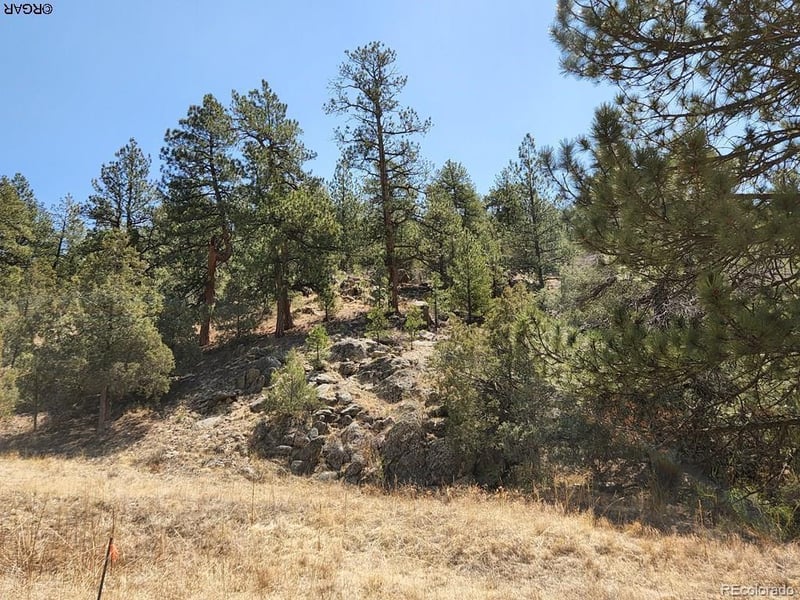 1314 Arnold Dr Lot 545, Cotopaxi, CO 81223