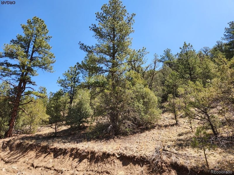 1314 Arnold Dr Lot 545, Cotopaxi, CO 81223