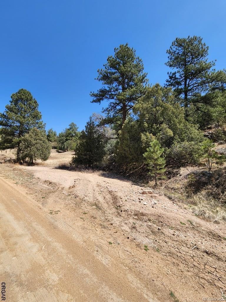 1314 Arnold Dr Lot 545, Cotopaxi, CO 81223