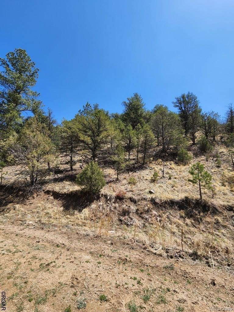 1314 Arnold Dr Lot 545, Cotopaxi, CO 81223