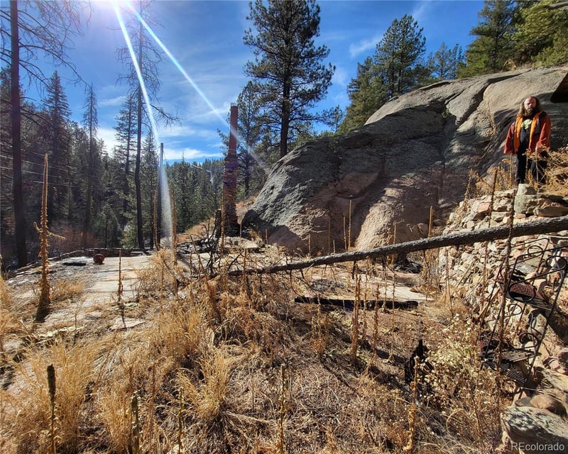 15771 S Elk Creek Rd, Pine, CO 80470