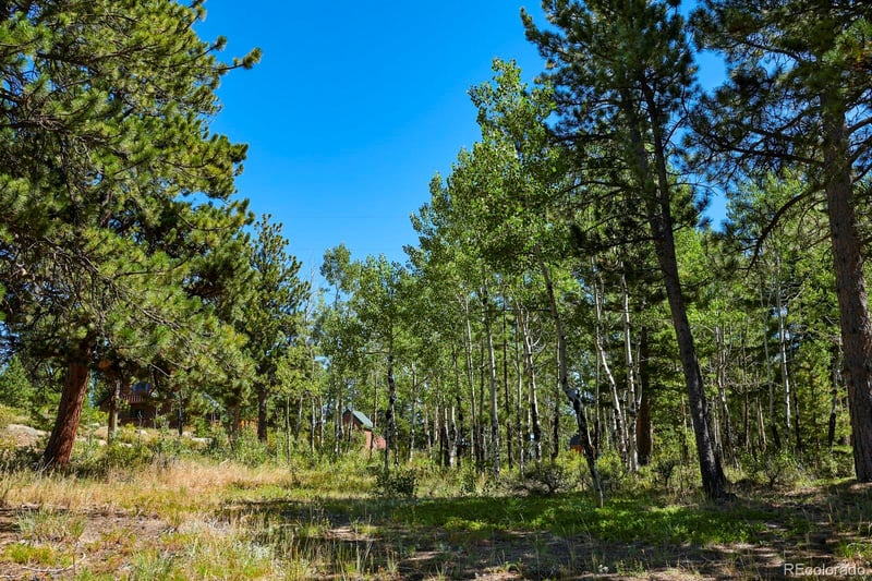 182 Rocky Knob Ln, Nederland, CO 80466