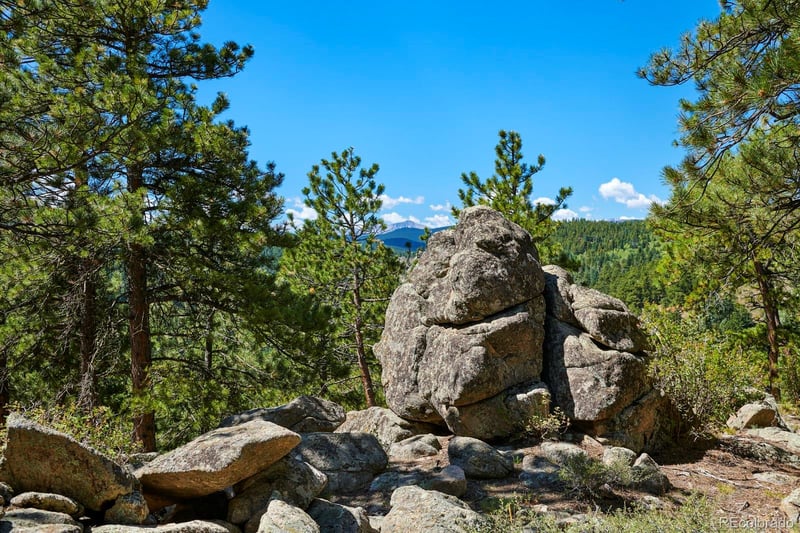 182 Rocky Knob Ln, Nederland, CO 80466