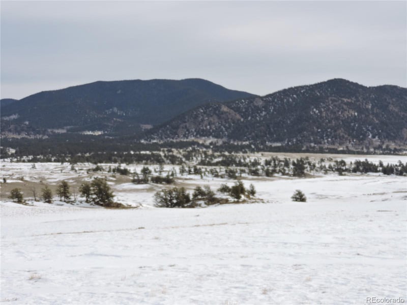 2418 Goldenburg Canyon Rd, Hartsel, CO 80449