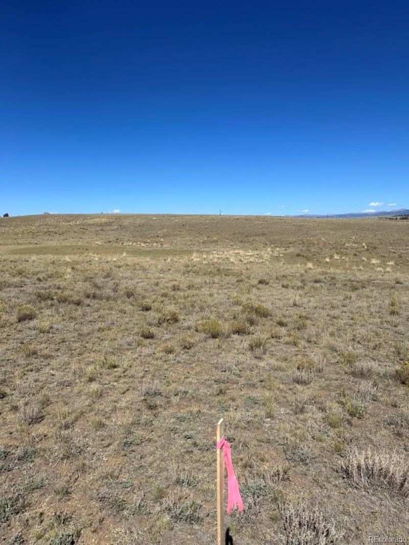 2418 Goldenburg Canyon Rd, Hartsel, CO 80449