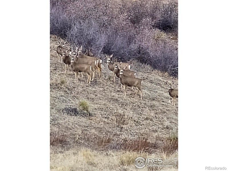 Beverly Dr, Berthoud, CO 80513