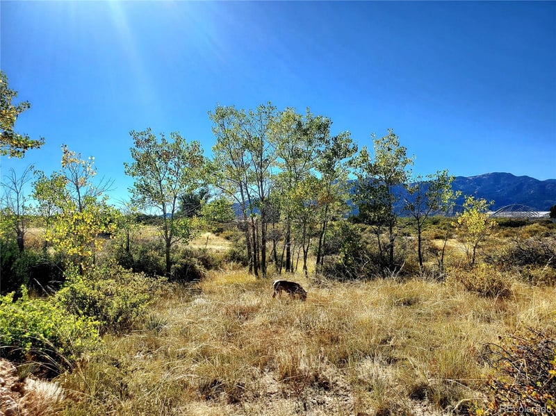 County Road 650 #3 Lot 3, Walsenburg, CO 81089