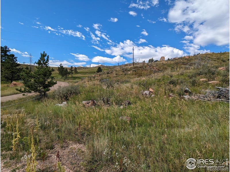 1737 Eiger Rd, Livermore, CO 80536