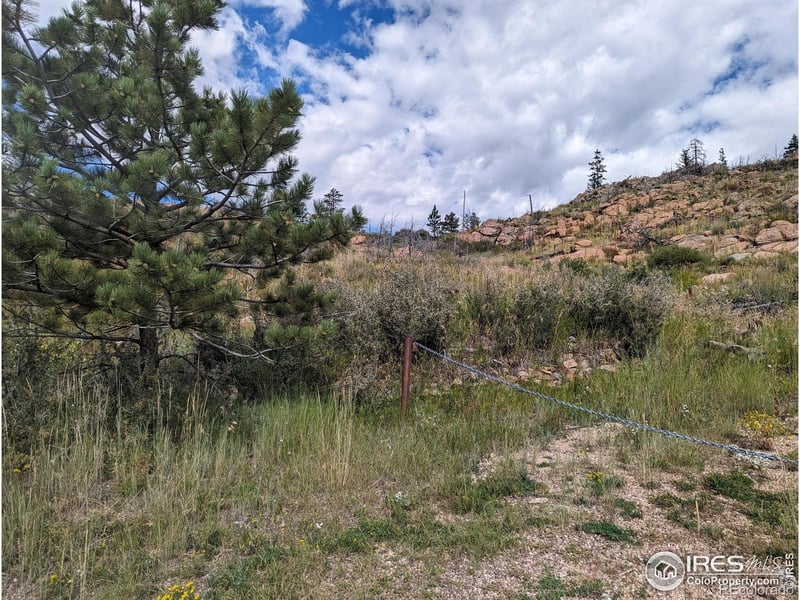 1737 Eiger Rd, Livermore, CO 80536