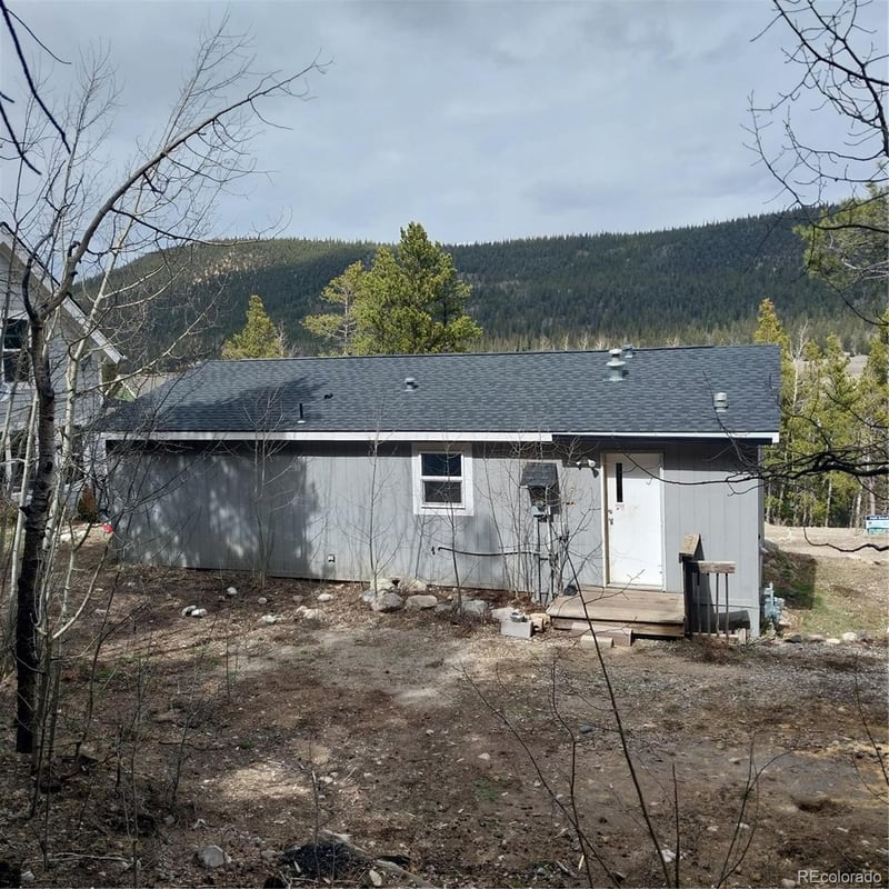 311 N Oak St, Alma, CO 80420