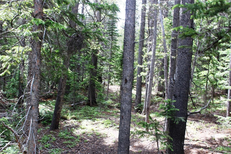 Lot 209 Upper Forest Rd, Idaho Springs, CO 80452