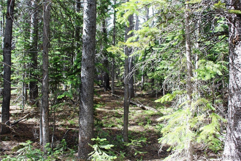 Lot 209 Upper Forest Rd, Idaho Springs, CO 80452