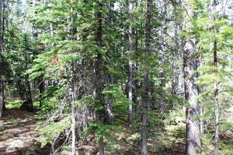 Lot 209 Upper Forest Rd, Idaho Springs, CO 80452