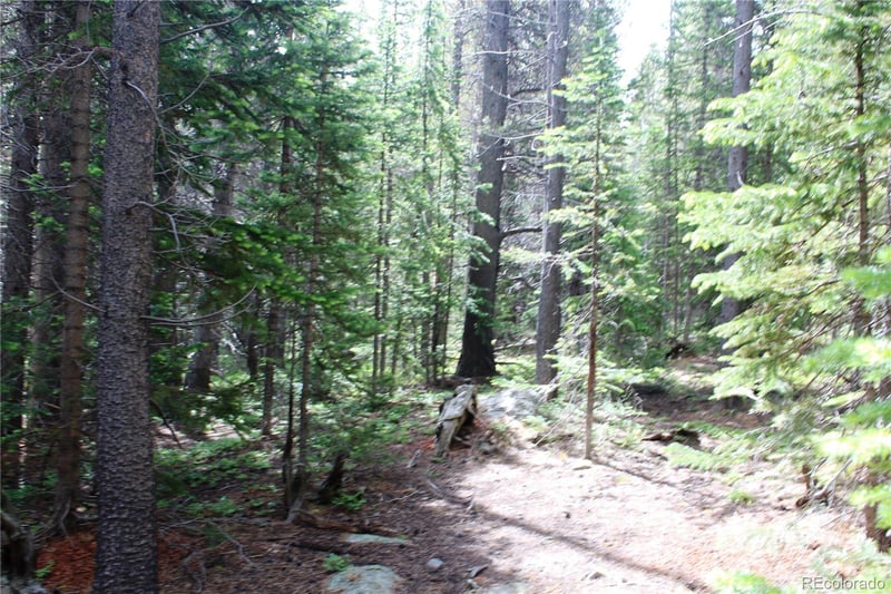 Lot 209 Upper Forest Rd, Idaho Springs, CO 80452