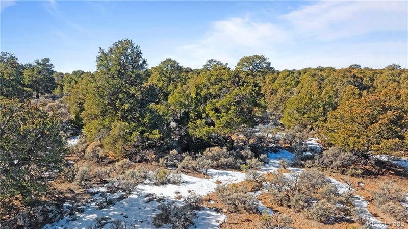 Lot 90 Elk Park Rd Lot 90, San Luis, CO 81152